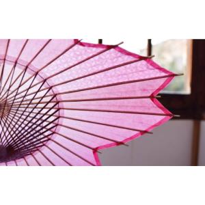 ふるさと納税 伝統技術 岐阜県 岐阜市 岐阜和...の詳細画像3