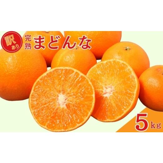 ふるさと納税 果物類 みかん 愛媛県 愛南町 先行予約 訳あり 完熟まどんな 5kg サイズミックス...