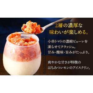 ふるさと納税 アイス・ヨーグルト シャーベット...の詳細画像2