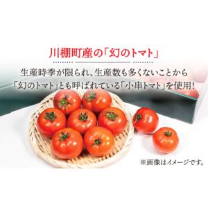 ふるさと納税 アイス・ヨーグルト シャーベット...の詳細画像3