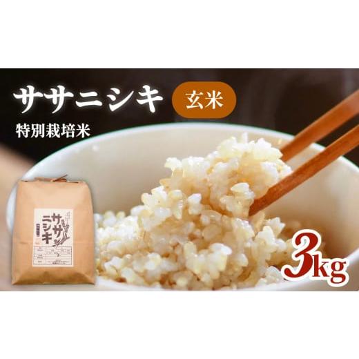 ふるさと納税 宮城県 石巻市 令和5年産 特別栽培米 ササニシキ 玄米 3kg