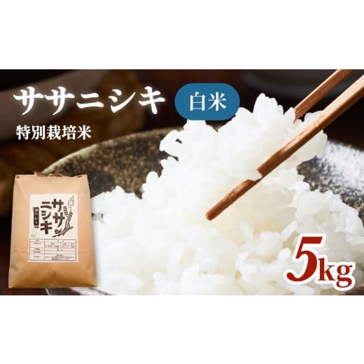 ふるさと納税 宮城県 石巻市 令和5年産 特別栽培米 ササニシキ 白米 5kg