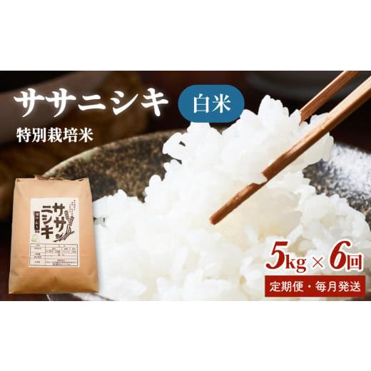 ふるさと納税 米 ササニシキ 宮城県 石巻市  定期便 特別栽培米 ササニシキ 白米30kg 毎月5...