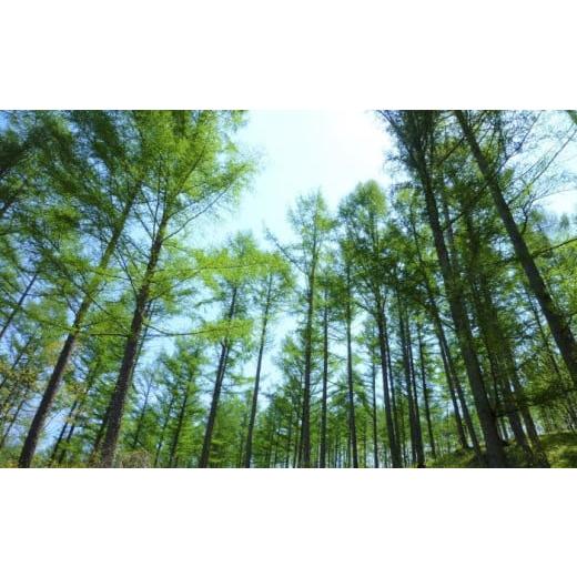 ふるさと納税 感謝状等 北海道 足寄町 カーボンオフセット CO2（二酸化炭素）削減量 1t《足寄町...