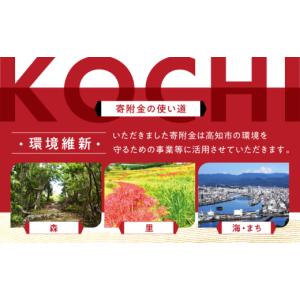 ふるさと納税 和装 高知県 高知市 縦長迎春花...の詳細画像4