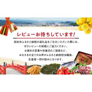 ふるさと納税 和装 高知県 高知市 縦長迎春花...の詳細画像5