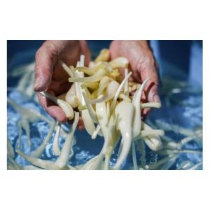 ふるさと納税 野菜類 沖縄県 宮古島市 予約受...の詳細画像3