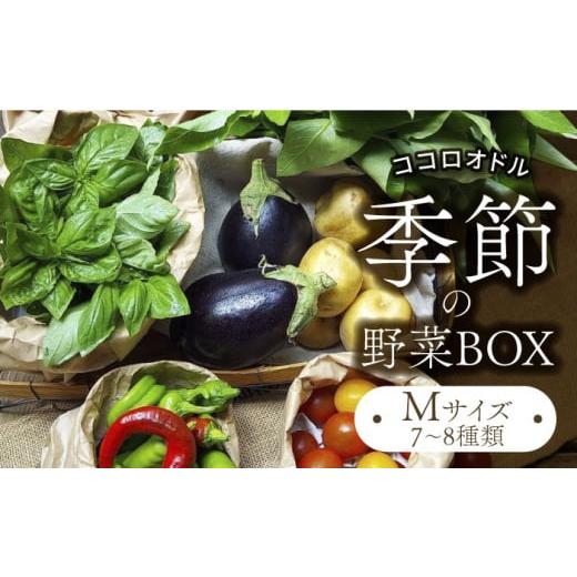 ふるさと納税 岐阜県 土岐市 季節の野菜BOX Mサイズ （7〜8種類）【Farm Regalo】旬...