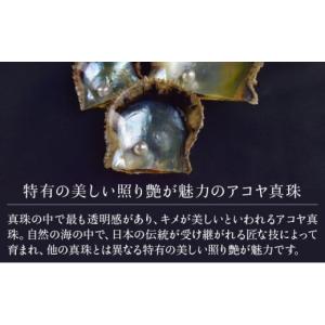 ふるさと納税 雑貨・日用品 佐賀県 上峰町 真...の詳細画像2