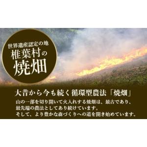 ふるさと納税 お茶類 宮崎県 椎葉村 世界農業...の詳細画像4