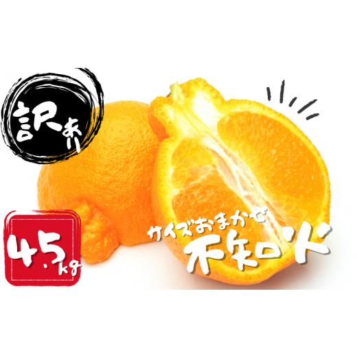 ふるさと納税 みかん・柑橘類 デコポン 三重県 紀宝町 訳あり品 M-4L サイズおまかせ 石本農園...