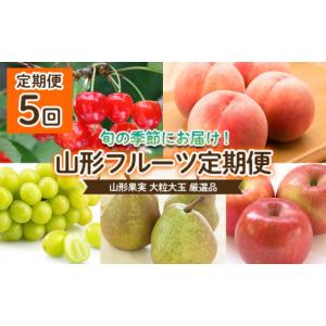 ふるさと納税 果物類 さくらんぼ 山形県 山形市 定期便5回 山形果実 大粒 大玉 厳選品 令和8年産先行予約 FU22-070 くだもの 果物 フルーツ 山形 山形県 山形…