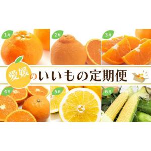 ふるさと納税 みかん・柑橘類 愛媛県 松山市 定期便 12回 愛媛のいいもの定期便(かんきつ・お野菜・ジュレ) みかん 柑橘 いよかん 不知火 しらぬい デコポン …