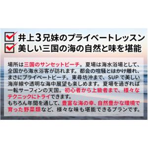 ふるさと納税 体験チケット 福井県 坂井市 世...の詳細画像5