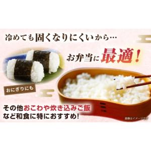 ふるさと納税 米 ミルキークイーン 福岡県 糸...の詳細画像3