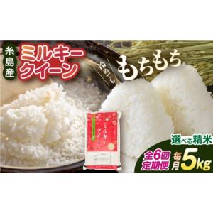 ふるさと納税 米 ミルキークイーン 福岡県 糸島市 白米 6回 定期便 ミルキークイーン 5kg 《糸島》 玄米・精米専門店 新飼宗一郎商店 ADE005-1 白米