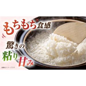 ふるさと納税 米 ミルキークイーン 福岡県 糸...の詳細画像2