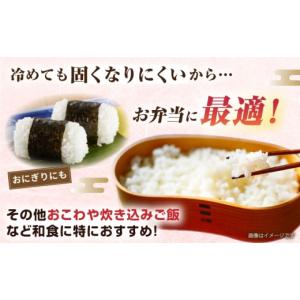 ふるさと納税 米 ミルキークイーン 福岡県 糸...の詳細画像3
