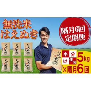 ふるさと納税 無洗米 山形県 酒田市  隔月6回定期便 無洗米 はえぬき 5kg×6回 計30kg 農家直送 いいあん米 山形県庄内産 隔月で中旬にお届け 精米 白米 庄内…