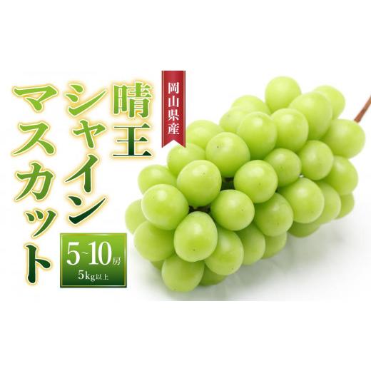 ふるさと納税 岡山県 岡山市 ぶどう［2024年先行予約］晴王 シャインマスカット 5房〜10房（5...