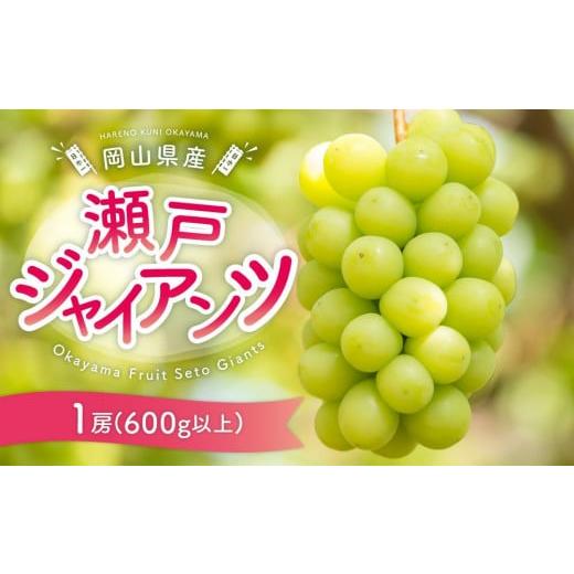 ふるさと納税 岡山県 岡山市 ぶどう［2024年先行予約］瀬戸ジャイアンツ 1房（600g以上）岡山...