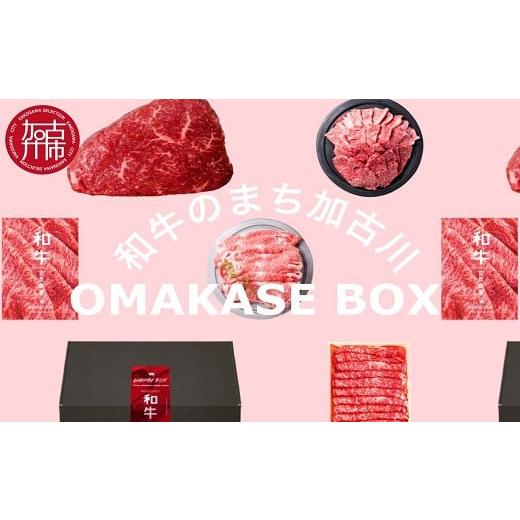 ふるさと納税 兵庫県 加古川市 OMAKASE BOX 肉のまち加古川 プリンセス和牛定期便(全4回...