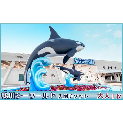 ふるさと納税 千葉県 鴨川市 【鴨川シーワールド】入園チケット 大人（高校生以上）１枚　[0011-...