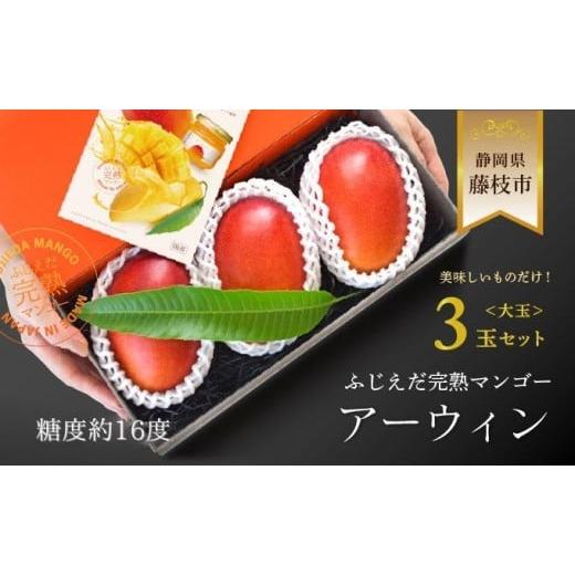 ふるさと納税 マンゴー 静岡県 藤枝市  先行予約開始 2026 夏発送 ふじえだ完熟マンゴー「アー...