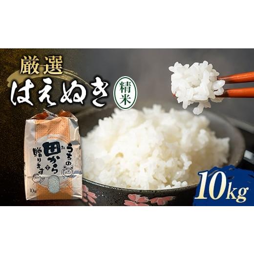 ふるさと納税 山形県 新庄市 【先行予約】 令和6年産 厳選はえぬき10kg 米 おこめ F3S-2...