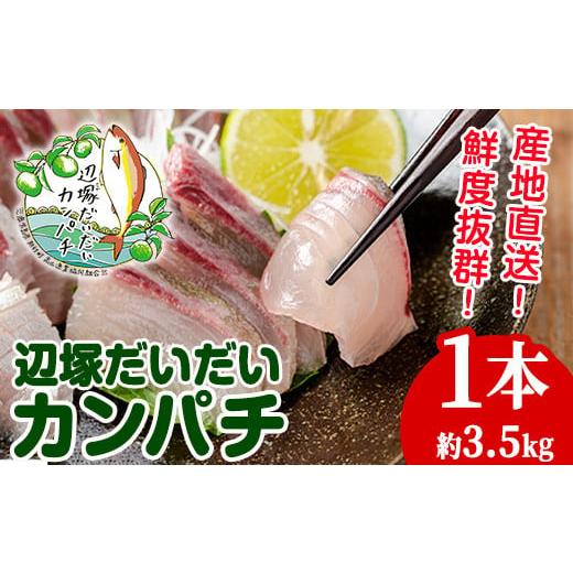 ふるさと納税 鹿児島県 肝付町 B08002 産地直送！辺塚だいだいカンパチ(約3.5kg・1本) ...