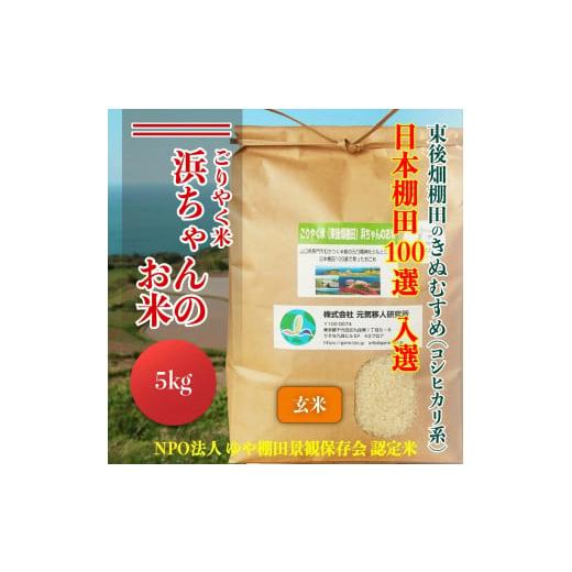 ふるさと納税 山口県 長門市 (1099)米 こめ お米 玄米 きぬむすめ ごりやく米 「東後畑棚田...