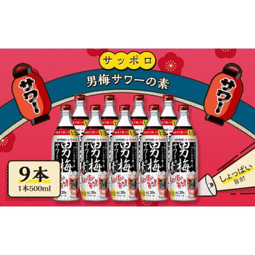 ふるさと納税 岡山県 赤磐市 サッポロ 男梅サワー の素 9本（1本500ml） 男梅 サワー  梅...