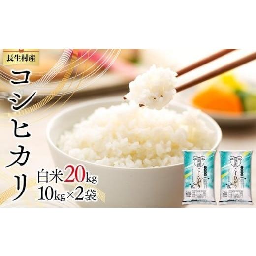 ふるさと納税 米 コシヒカリ 千葉県 長生村 I01-B01-00 令和７年産 長生産コシヒカリ（白...