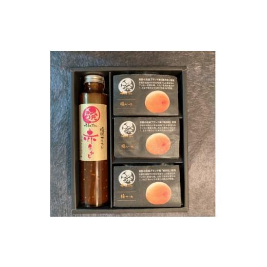 ふるさと納税 調味料・油 たれ 愛知県 安城市 醗の赤生タレ　醗酵ブレンド　1本+ミネラル醗酵梅ソー...