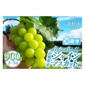 ふるさと納税 【2026年発送☆先行予約】☆絶品☆ シャインマスカット 5