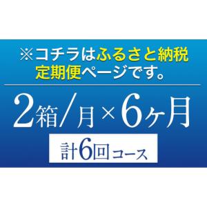 ふるさと納税 炭酸飲料 熊本県 御船町 6ヶ月...の詳細画像2