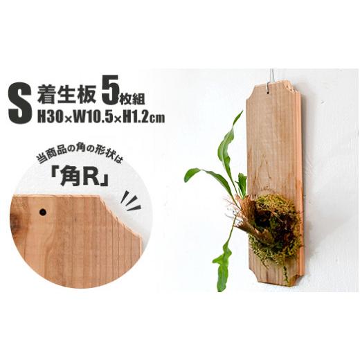 ふるさと納税 雑貨・日用品 茨城県 守谷市  着生板 Sサイズ 5枚組「角の形状：角R」