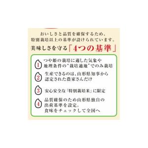 ふるさと納税 米 つや姫 山形県 鶴岡市 令和...の詳細画像3