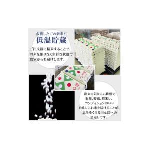 ふるさと納税 米 つや姫 山形県 鶴岡市 令和...の詳細画像5