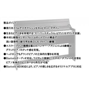 ふるさと納税 電化製品 静岡県 浜松市 Rol...の詳細画像5