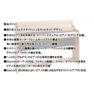 ふるさと納税 電化製品 静岡県 浜松市 Rol...の詳細画像5