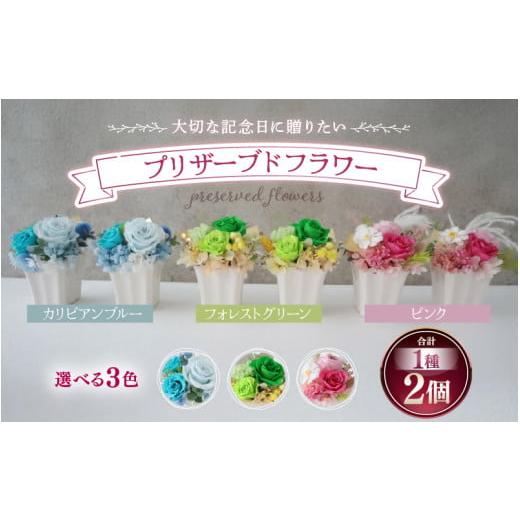 ふるさと納税 花・苗木 福井県 あわら市  グリーン プリザーブドフラワー 2個セット ペアで飾って...