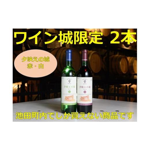 ふるさと納税 北海道 池田町  十勝ワインいけだワイン城限定2本セット【A001-3-2】