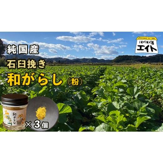 ふるさと納税 調味料・油 京都府 綾部市 純国産石臼挽き 和がらし（粉）3個セット 国産 からし 和...