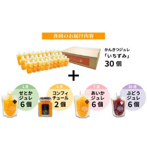 ふるさと納税 菓子 ゼリー 愛媛県 松山市 定...の詳細画像2