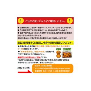 ふるさと納税 菓子 ゼリー 愛媛県 松山市 定...の詳細画像3