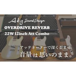 ふるさと納税 TV・オーディオ・カメラ 岩手県...の詳細画像2