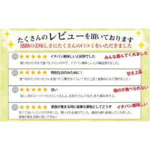 ふるさと納税 メロン 静岡県 浜松市 クラウン...の詳細画像3