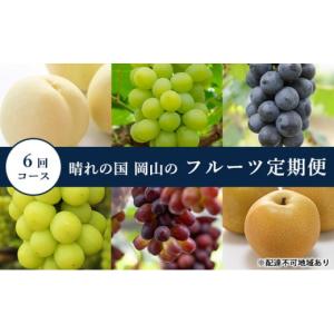 ふるさと納税 岡山県 瀬戸内市 桃 ぶどう 梨 定期便 2024年 先行予約 晴れの国 岡山 の フルーツ 定期便 6回コース もも 葡萄 なし 岡山県産 国産 セット ギフ…