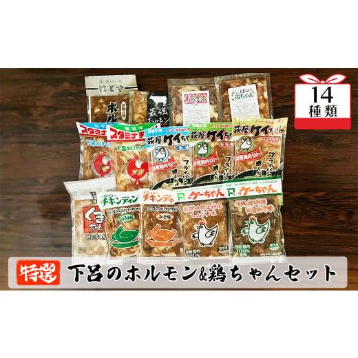 ふるさと納税 岐阜県 下呂市 やましげ特撰「下呂のホルモン・鶏ちゃんセット」14種類 （計14袋）冷...